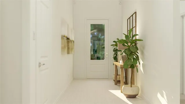 wooden floor with a potted plant