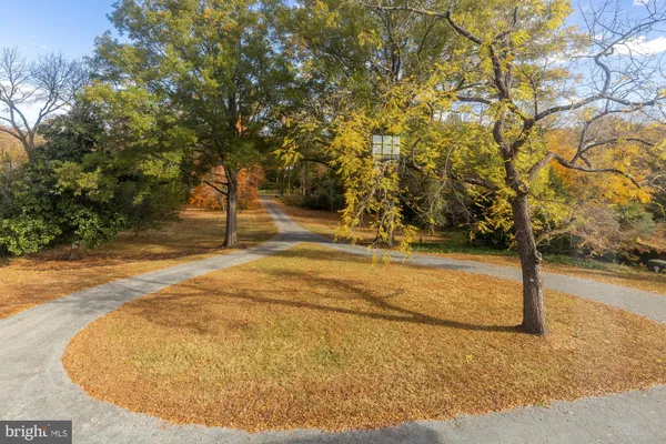 a view of a yard with an trees