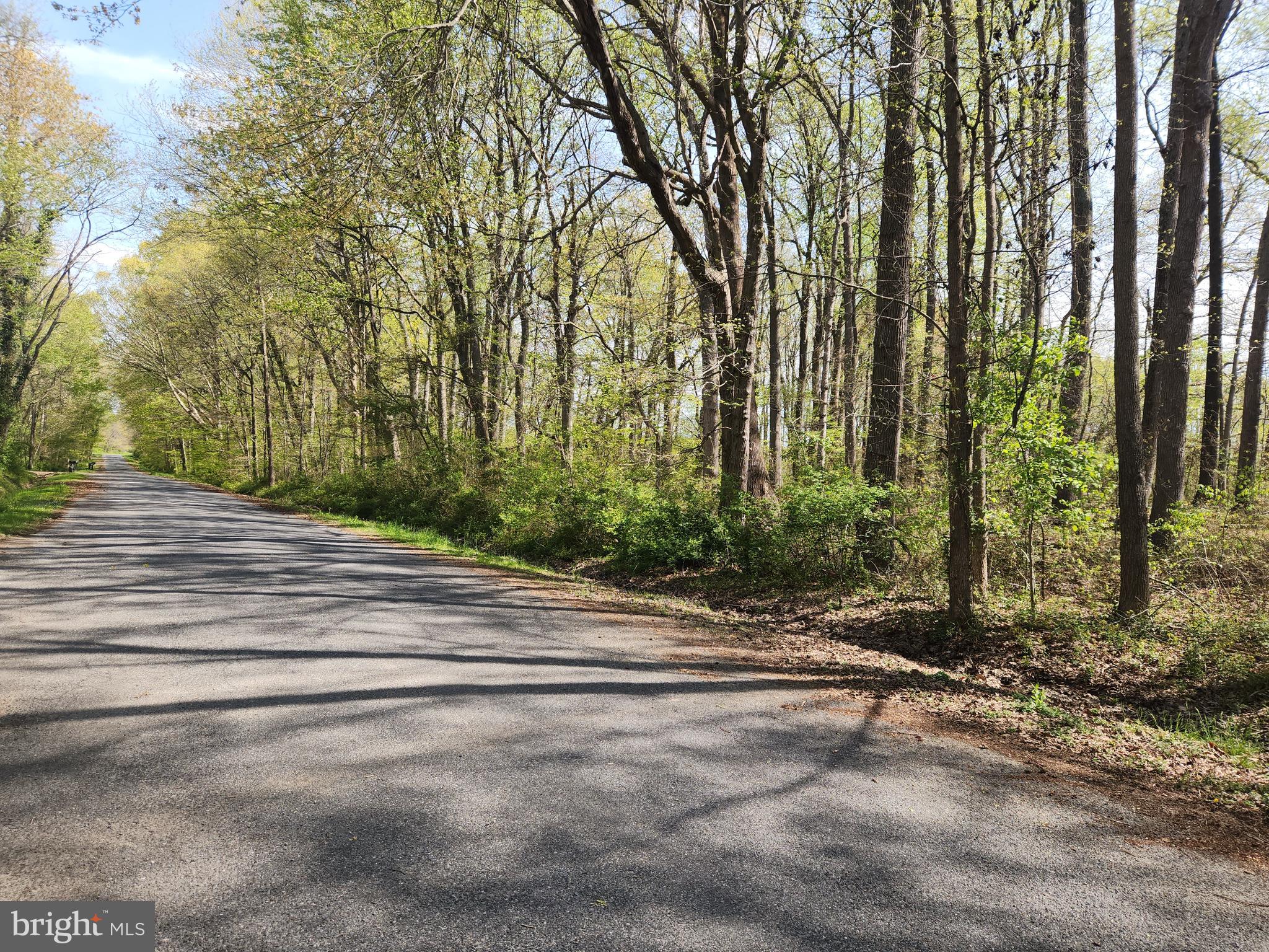 Sandpiper Road Chestertown, MD 21620 - Photo 5 of 5 a view of a entrance gate of a house