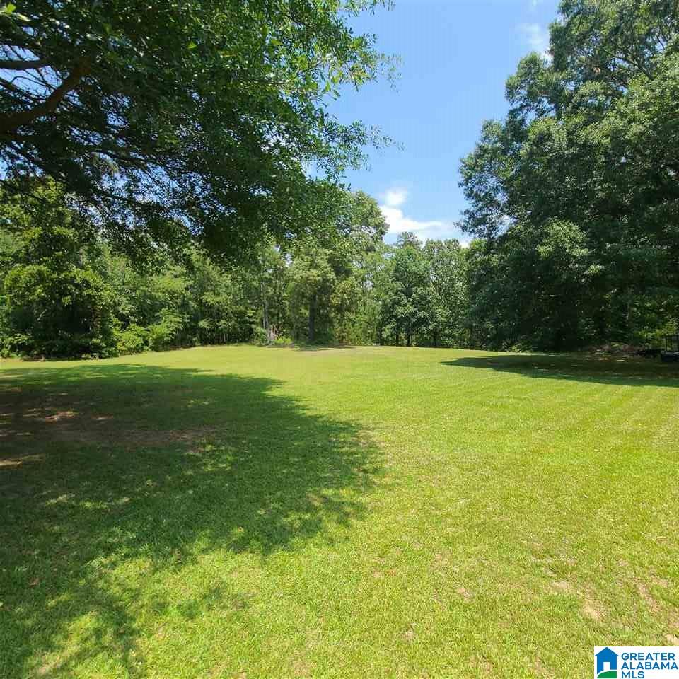 740 Big Rock Road Pell City, AL 35128 - Photo 24 of 24