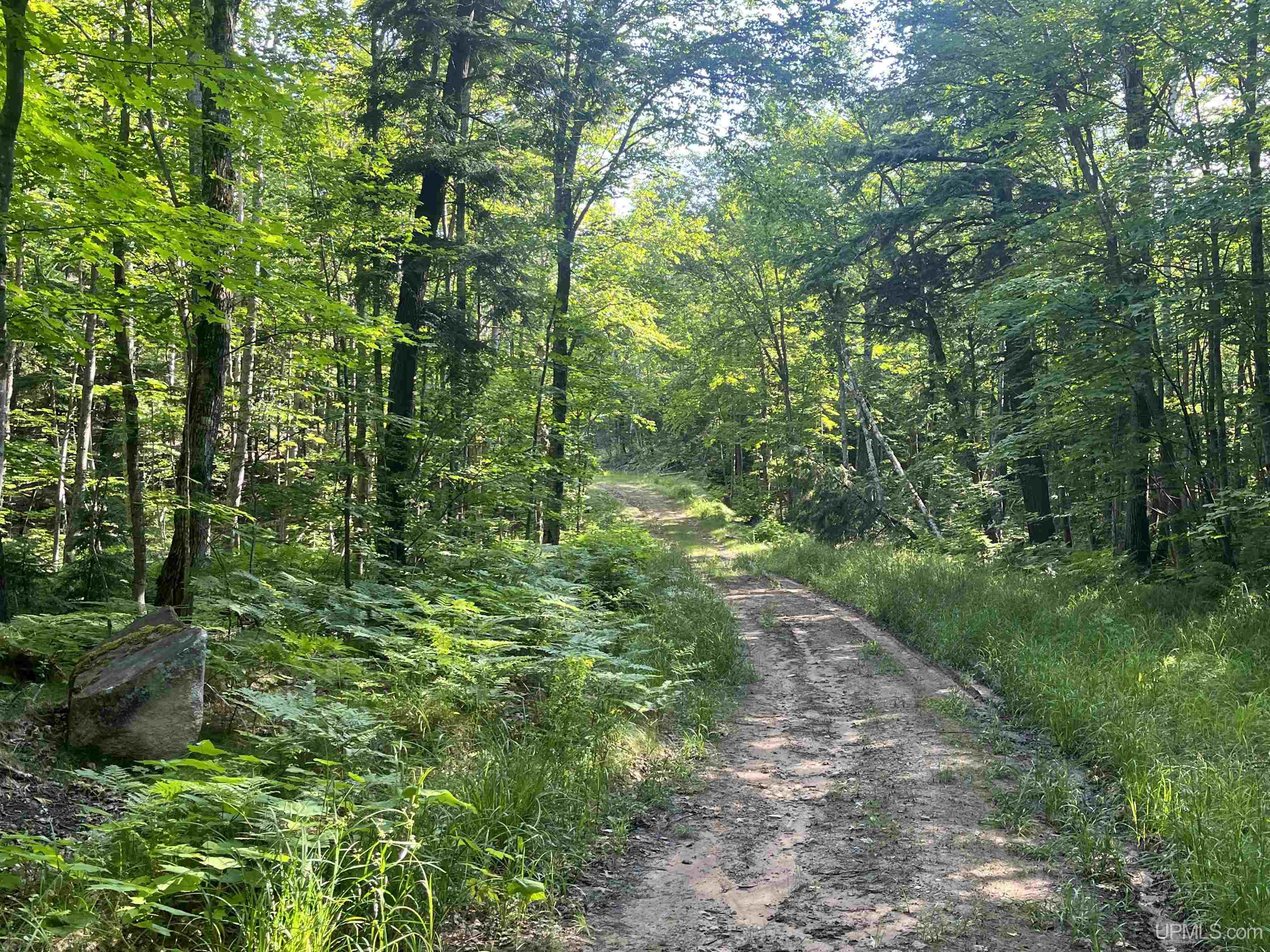 510 Rd Ishpeming Mi 49849 Road Negaunee, MI 49866 - Photo 15 of 33