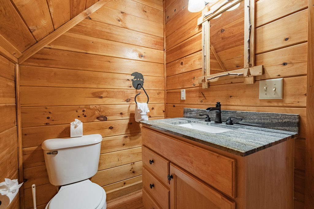 472 Timber Ridge Blue Ridge, GA 30513 - Photo 32 of 63 a bathroom with a granite countertop toilet sink and mirror