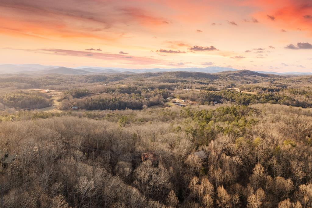 472 Timber Ridge Blue Ridge, GA 30513 - Photo 61 of 63 a view of a city and mountains