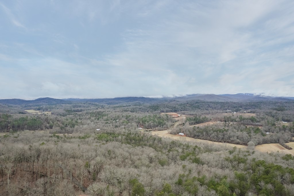 472 Timber Ridge Blue Ridge, GA 30513 - Photo 62 of 63 a view of an outdoor space with mountain view