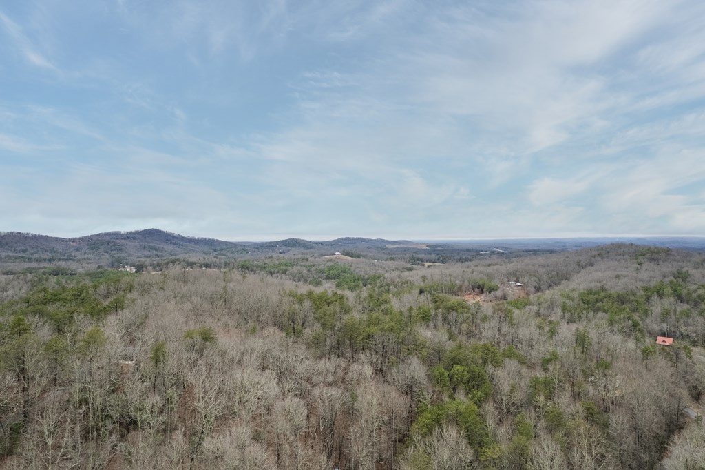 472 Timber Ridge Blue Ridge, GA 30513 - Photo 63 of 63