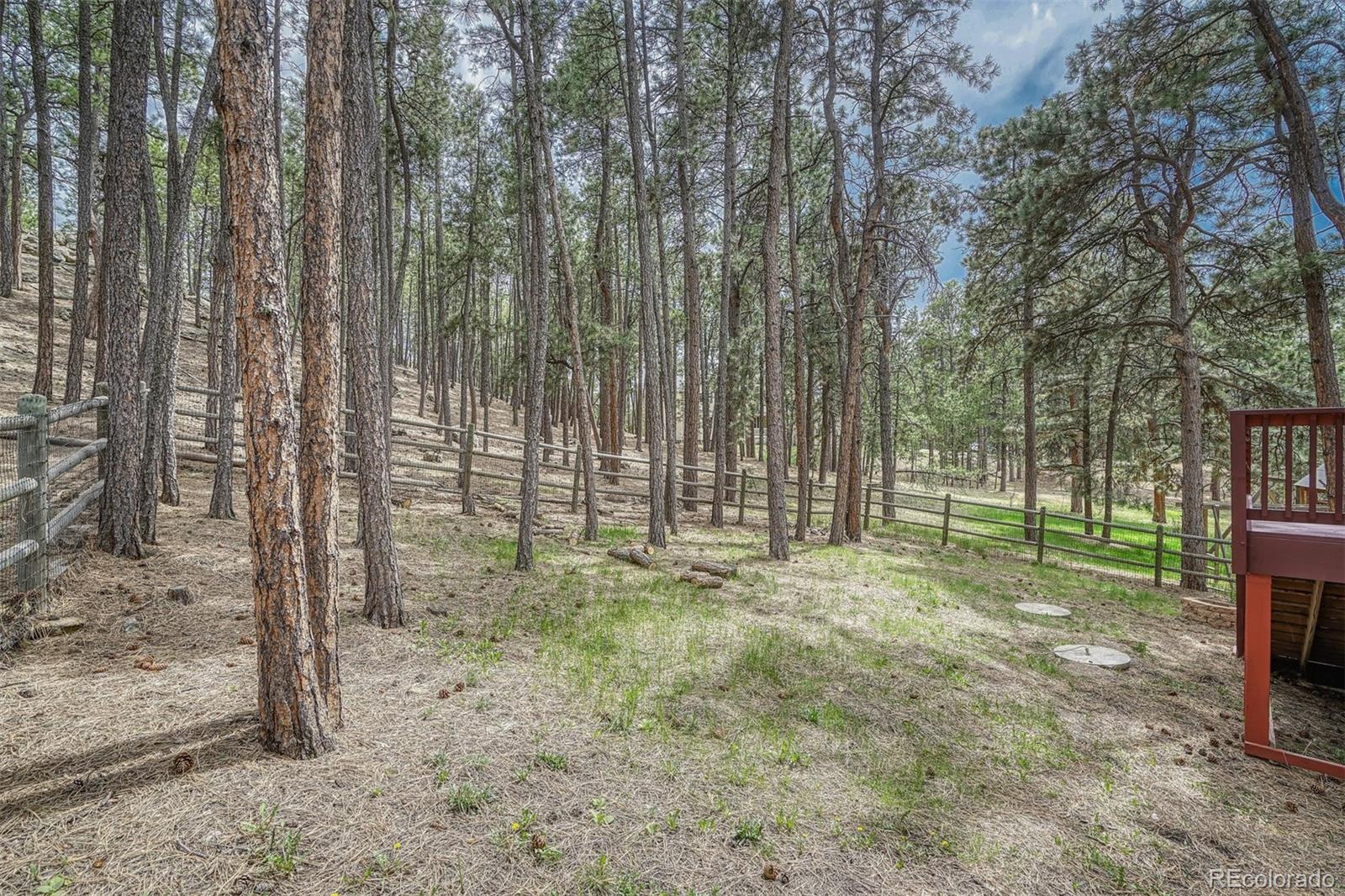 19445 Wing Tip Road Colorado Springs, CO 80908 - Photo 38 of 40 Gallery Image 38