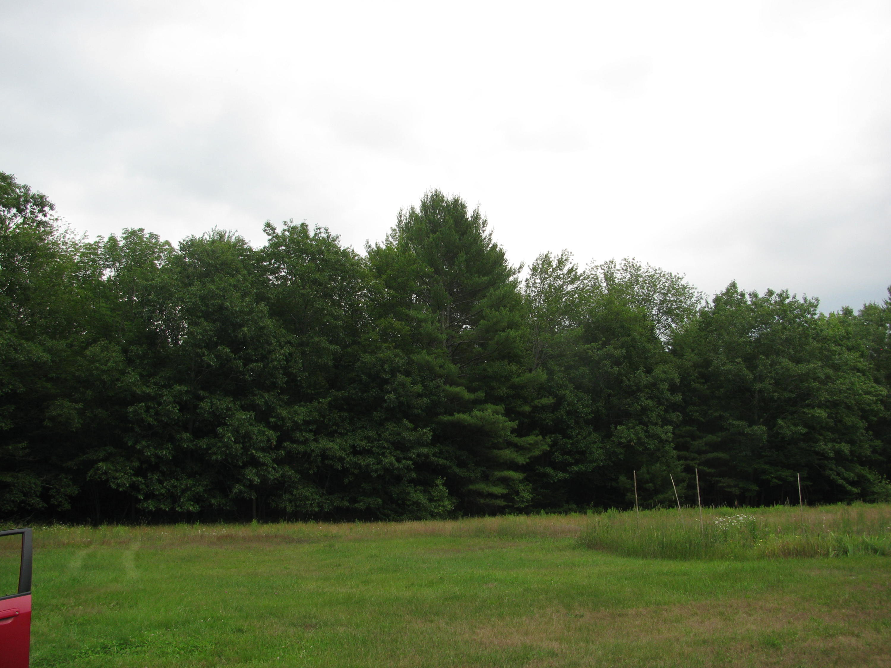 225 Gammon Road Buckfield, ME 04220 - Photo 8 of 24 IMG_6650