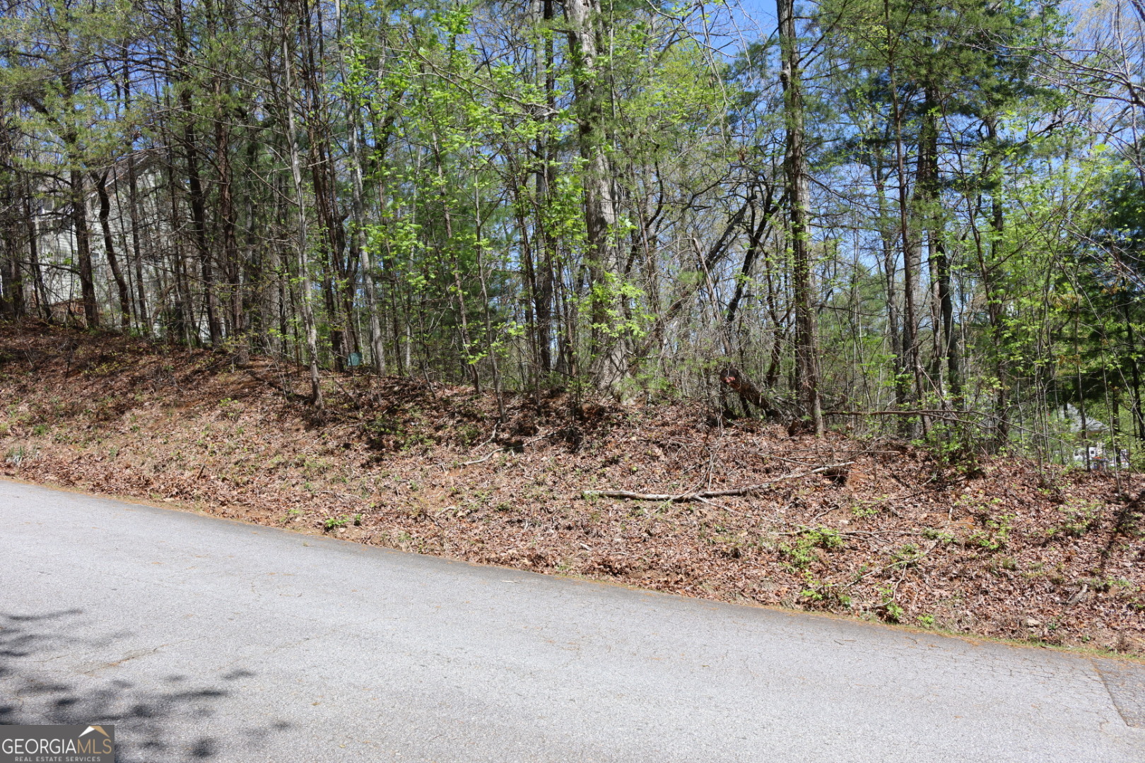 170 Spring Crest Road Cleveland, GA 30528 - Photo 1 of 1 a view of a dry yard with trees in the background