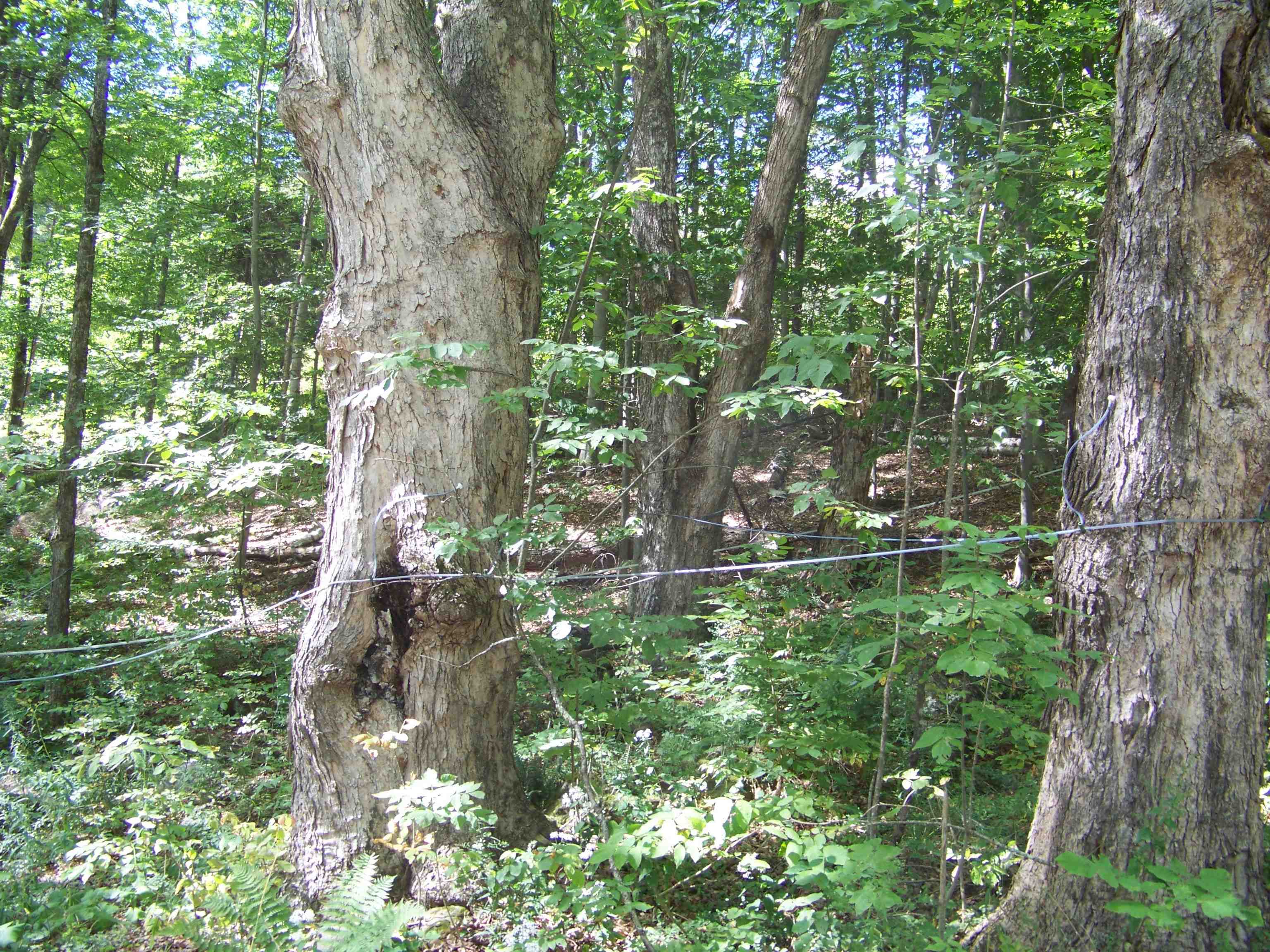 436 Mt View Loop Rochester, VT 05767 - Photo 42 of 43