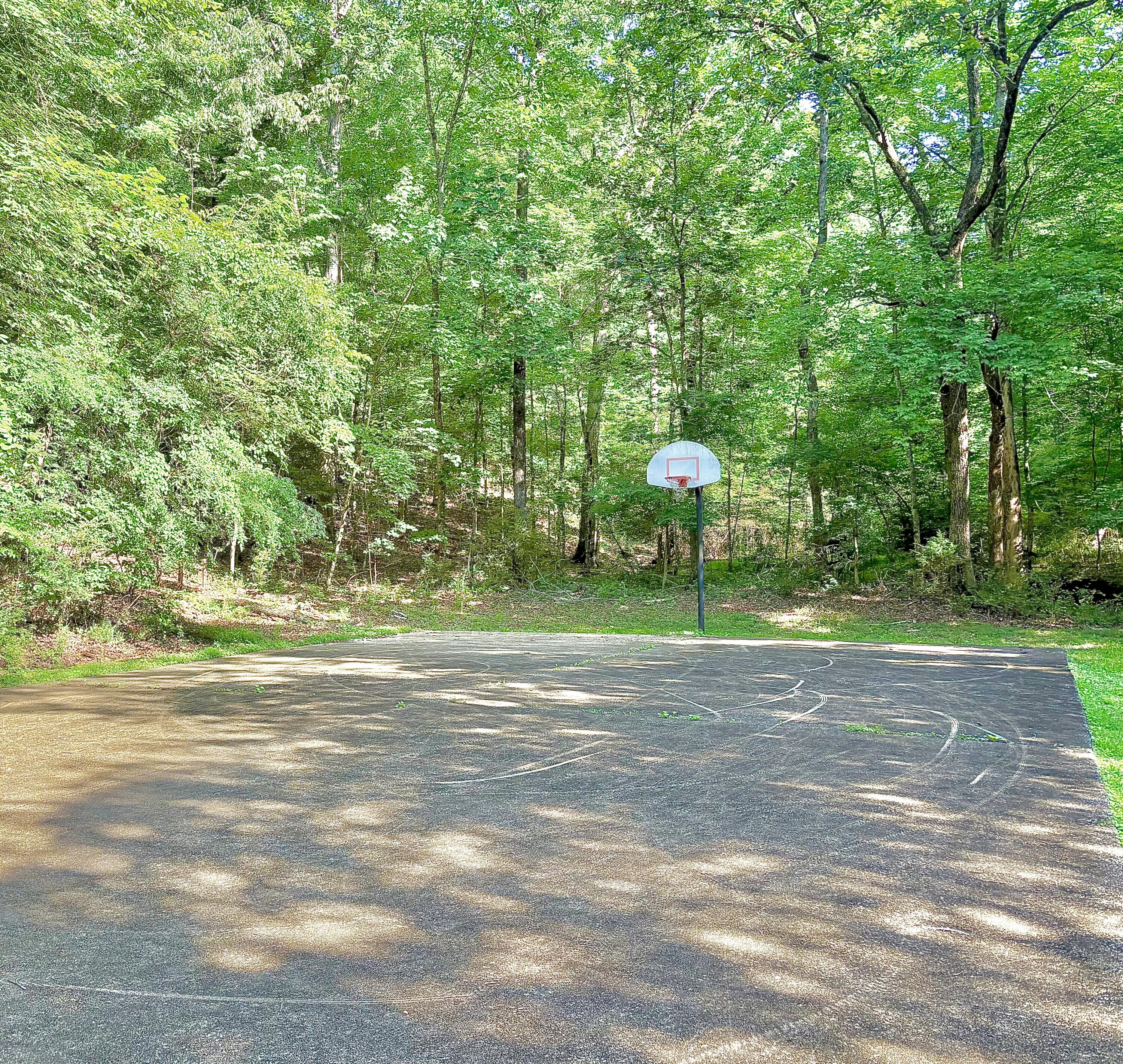 1808 Hidden Harbor Road Hixson, TN 37343 - Photo 70 of 73 Basketball court