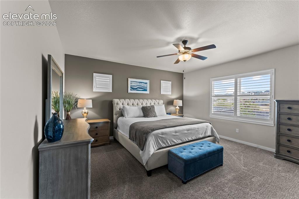 1168 Foothills Farm Way Colorado Springs, CO 80921 - Photo 27 of 50