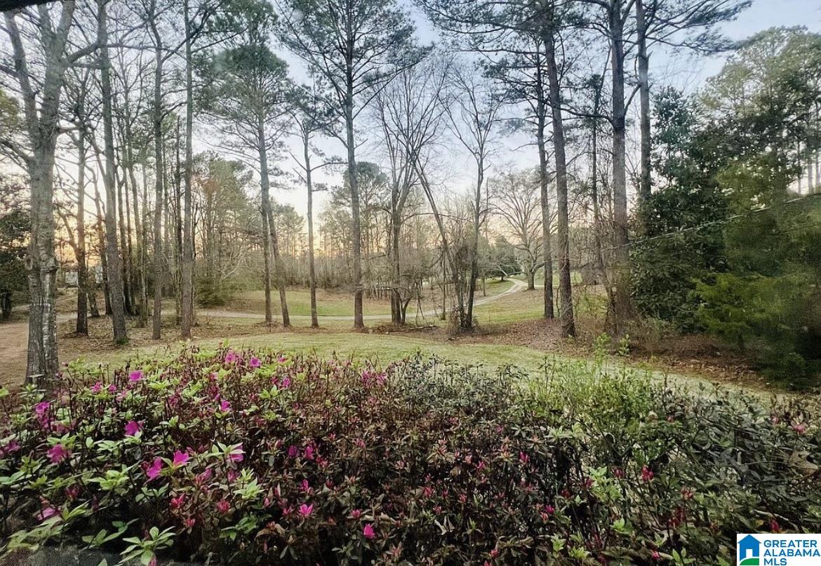 137 Turner Road Alexander City, AL 35010 - Photo 35 of 35