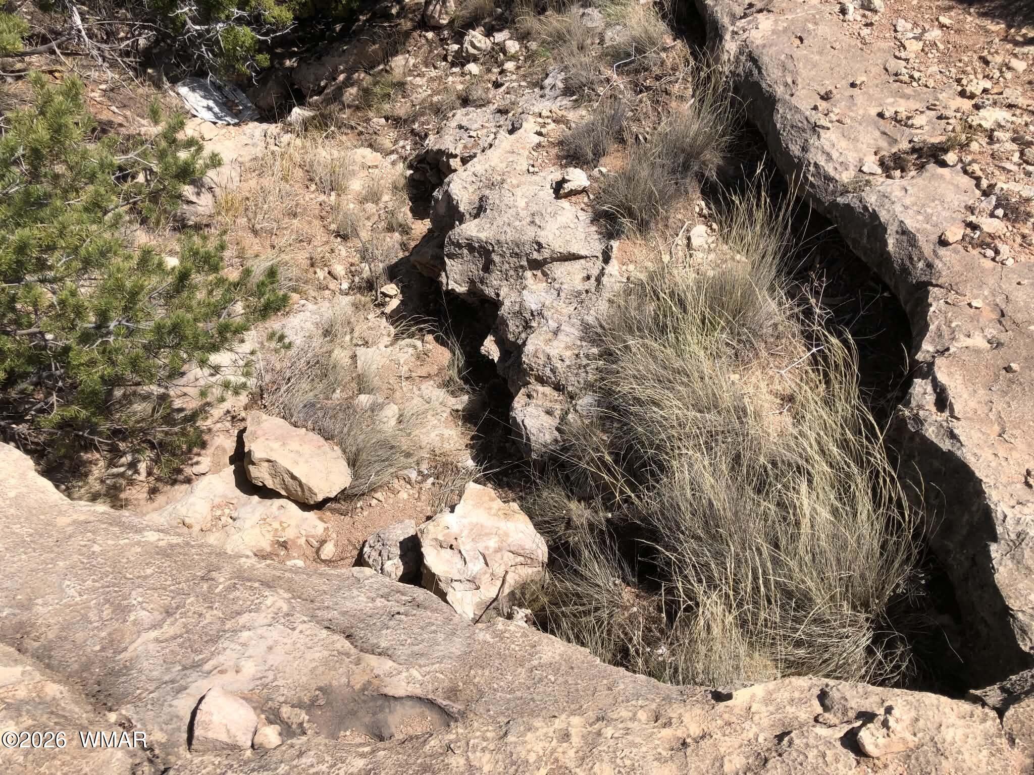 785 Twin Tanks Road Heber, AZ 85928 - Photo 3 of 39