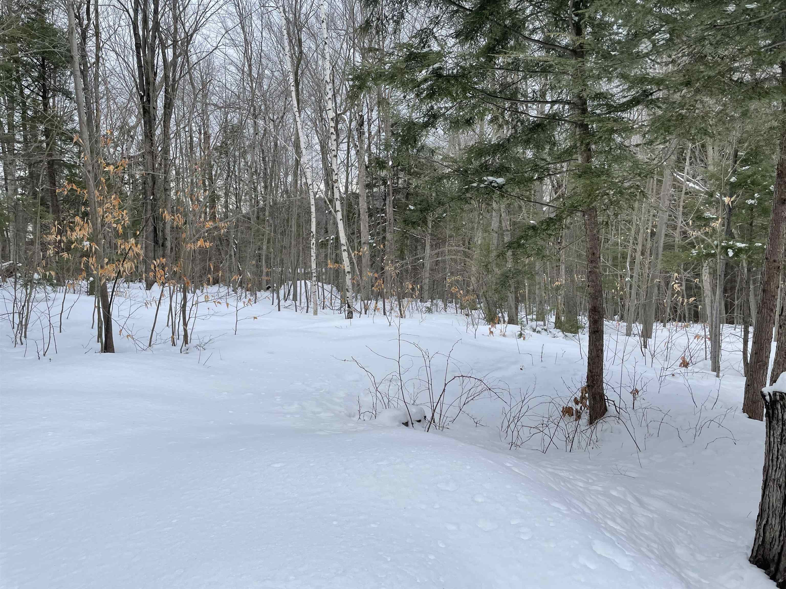 28 Moody Pond Road Ossipee, NH 03814 - Photo 23 of 39