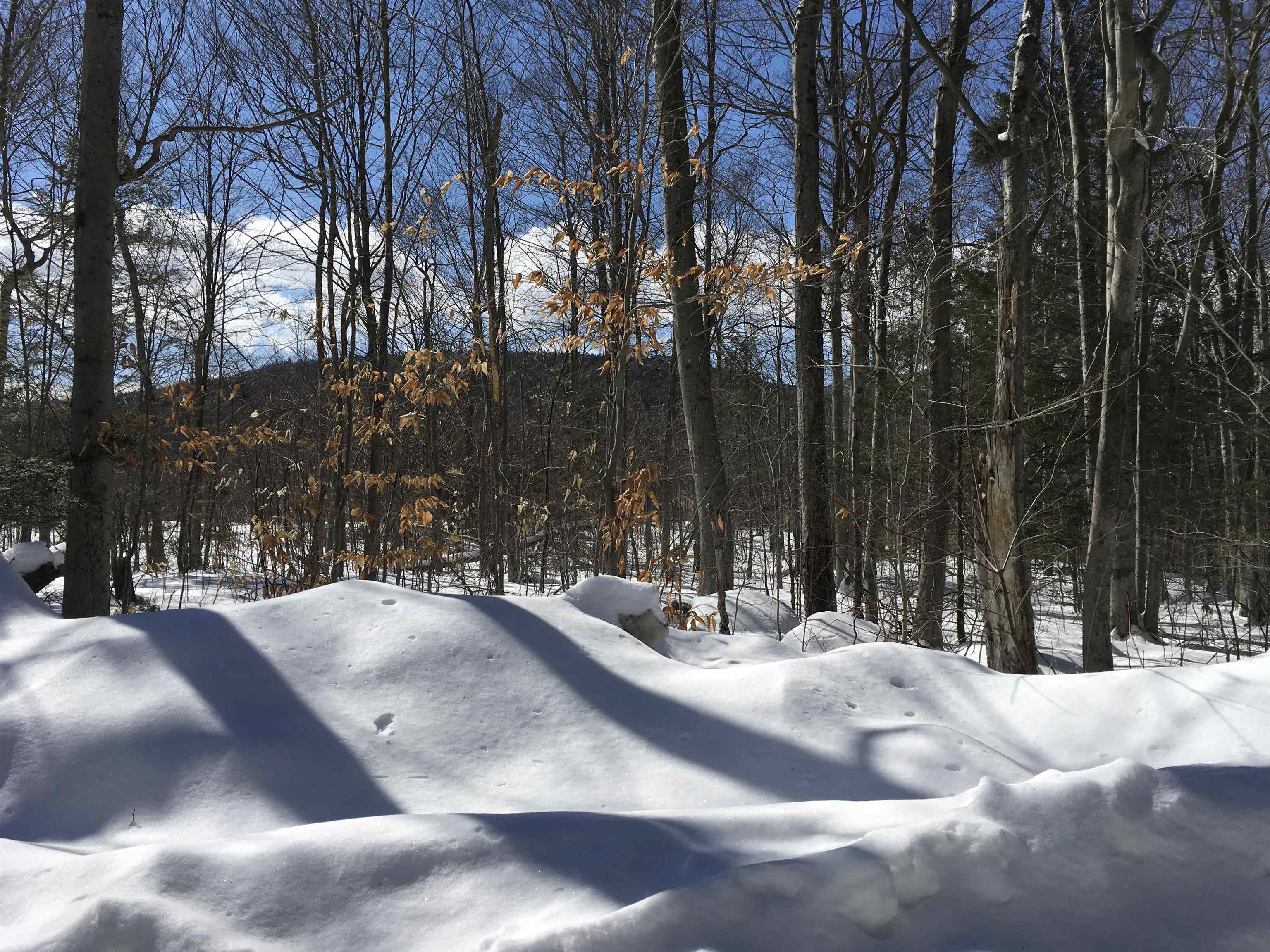 28 Moody Pond Road Ossipee, NH 03814 - Photo 26 of 39