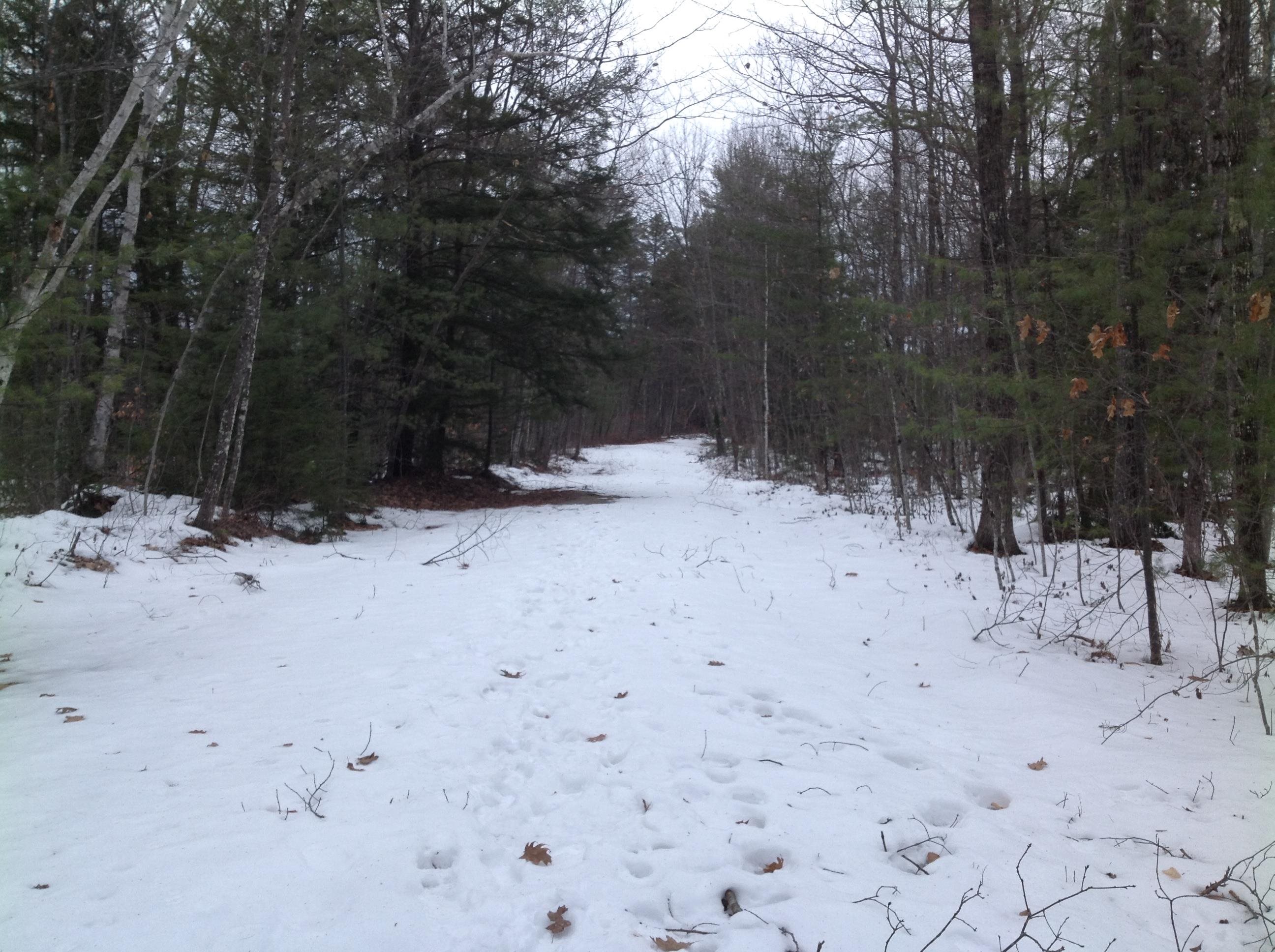 28 Moody Pond Road Ossipee, NH 03814 - Photo 38 of 39