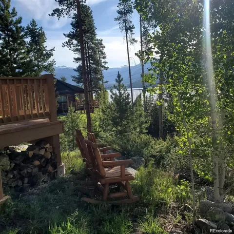 a view of a backyard with plants and large trees