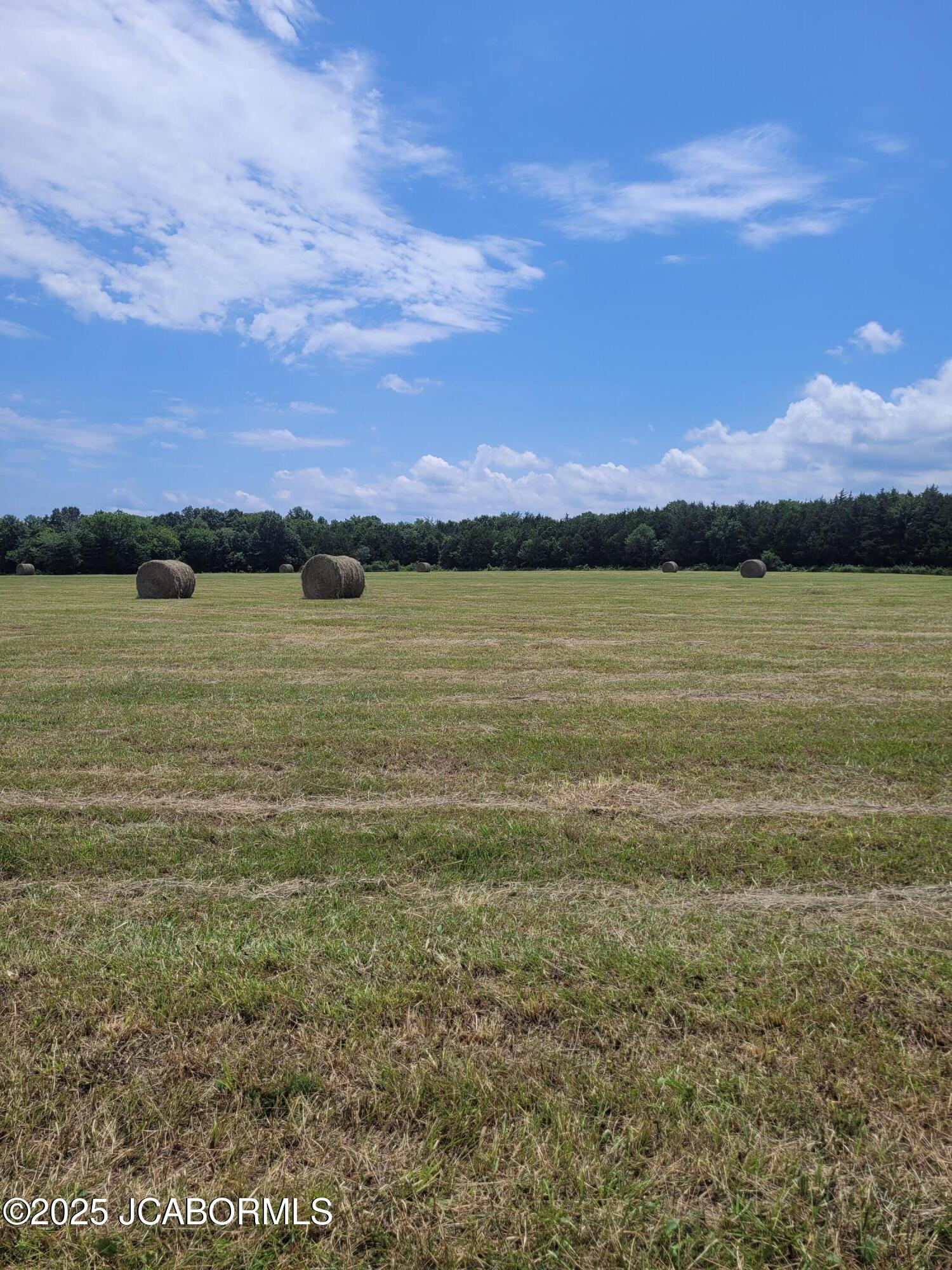 Lot 3 Co Road Flemington, MO 65650 - Photo 2 of 8