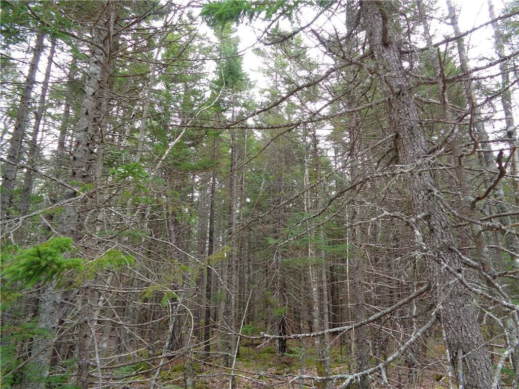 Lot 70-7 Peninsula Road Corea, ME 04624 - Photo 3 of 14 Photo