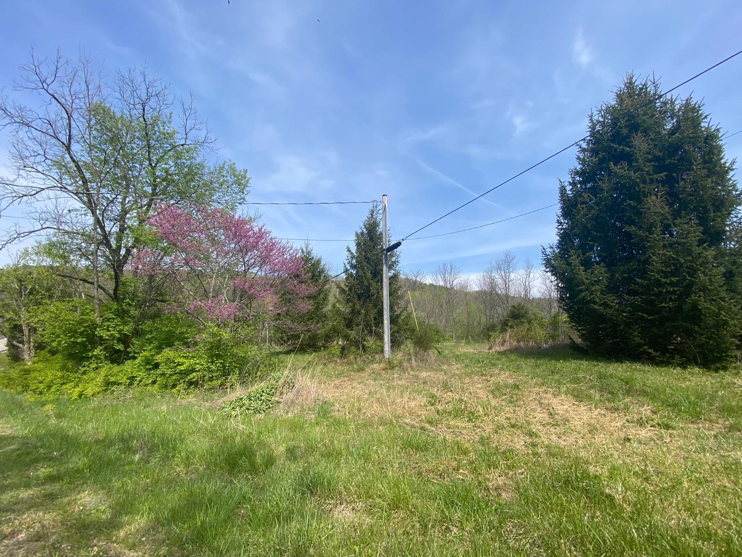 5596 Vaughn Ridge Road West Union, OH 45693 - Photo 15 of 38