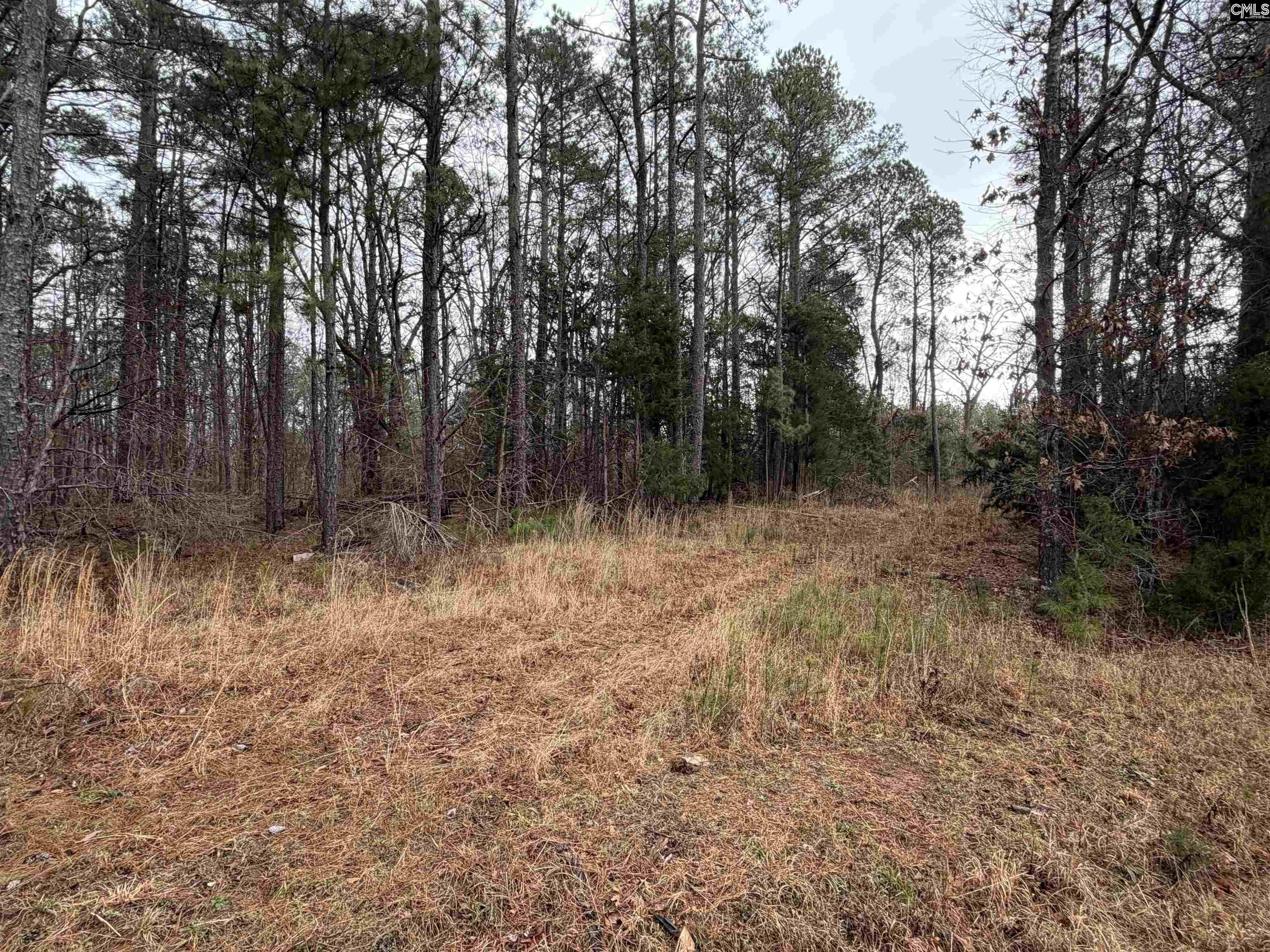 0 St Philips Church Road Prosperity, SC 29127 - Photo 3 of 5