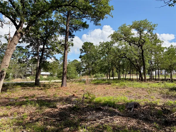 $45,000 | Lots-95-96 Shawnee Drive, Smithville, TX 78957
