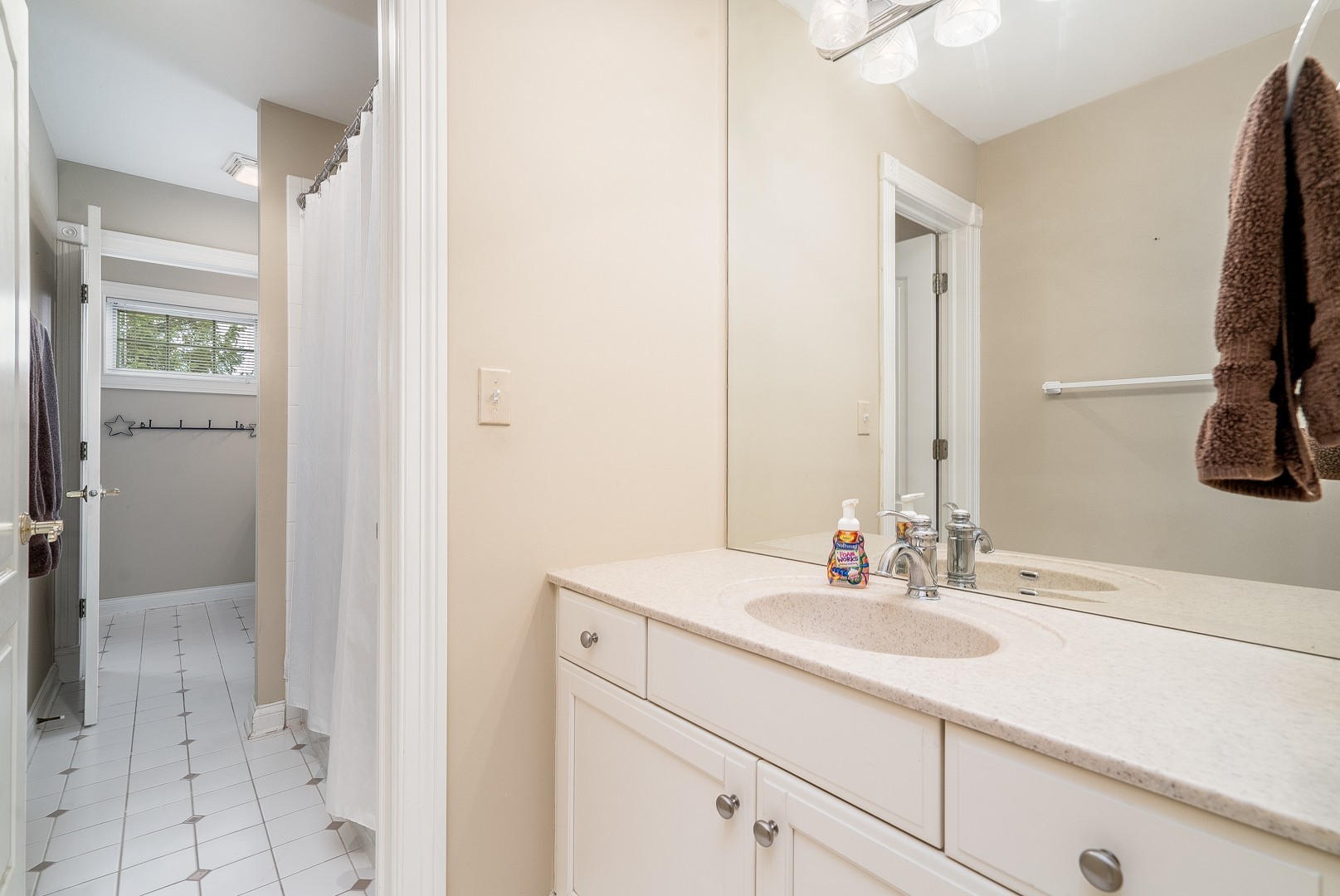 Undisclosed Address Geneva, IL 60134 - Photo 20 of 29 a bathroom with a sink and a mirror