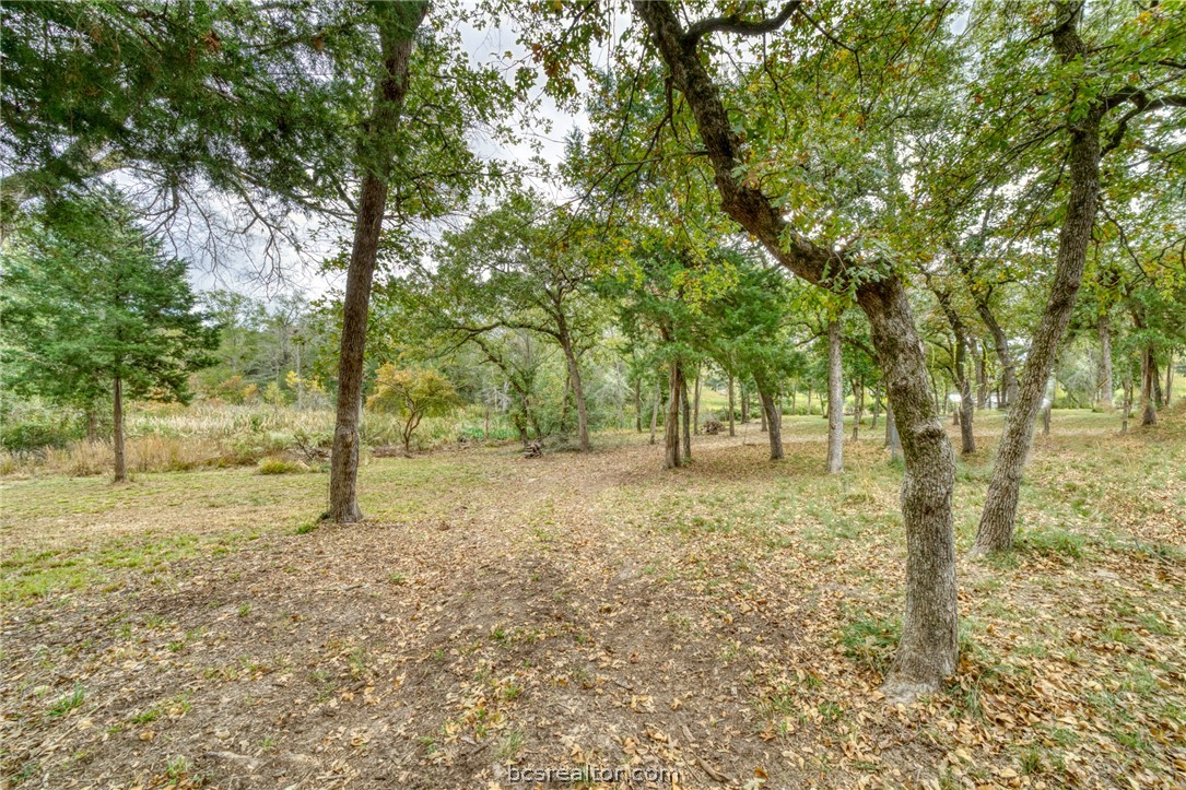 10232 Riley Green Road Franklin, TX 77856 - Photo 11 of 20 Gallery Image 11