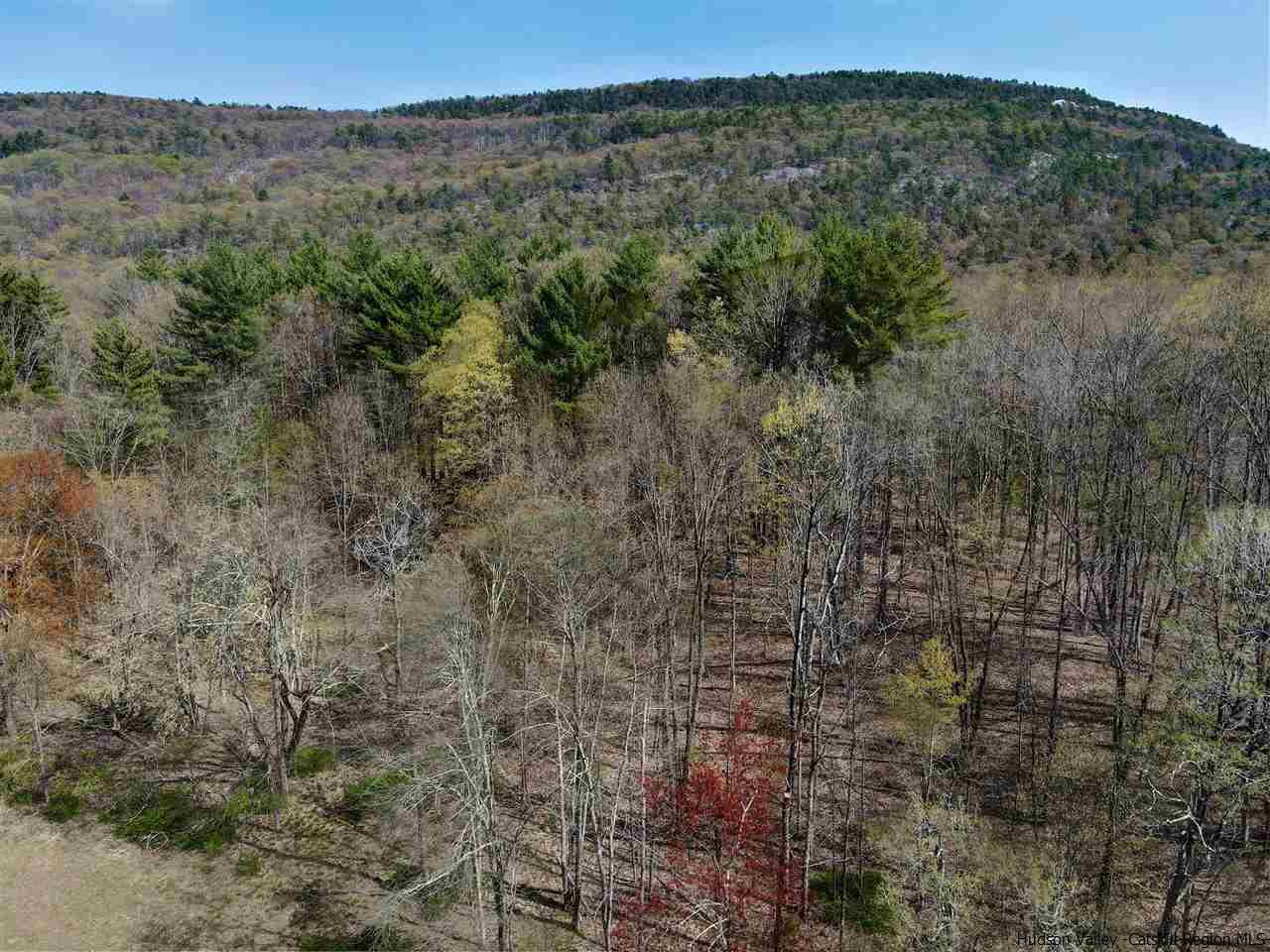 Tbd Clove Valley Road High Falls, NY 12440 - Photo 14 of 26 Photo 14