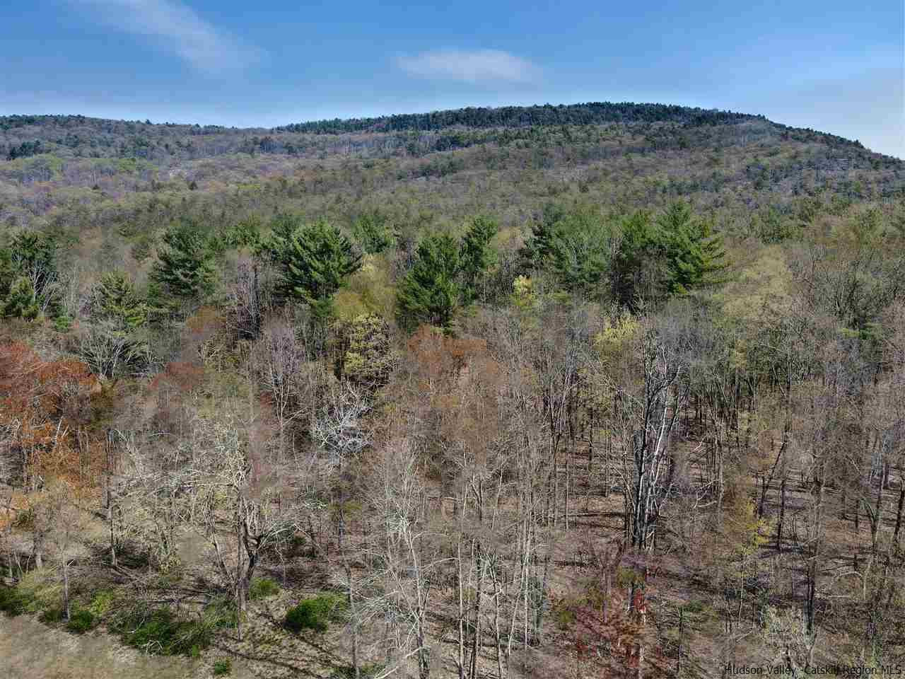 Tbd Clove Valley Road High Falls, NY 12440 - Photo 15 of 26 Photo 15