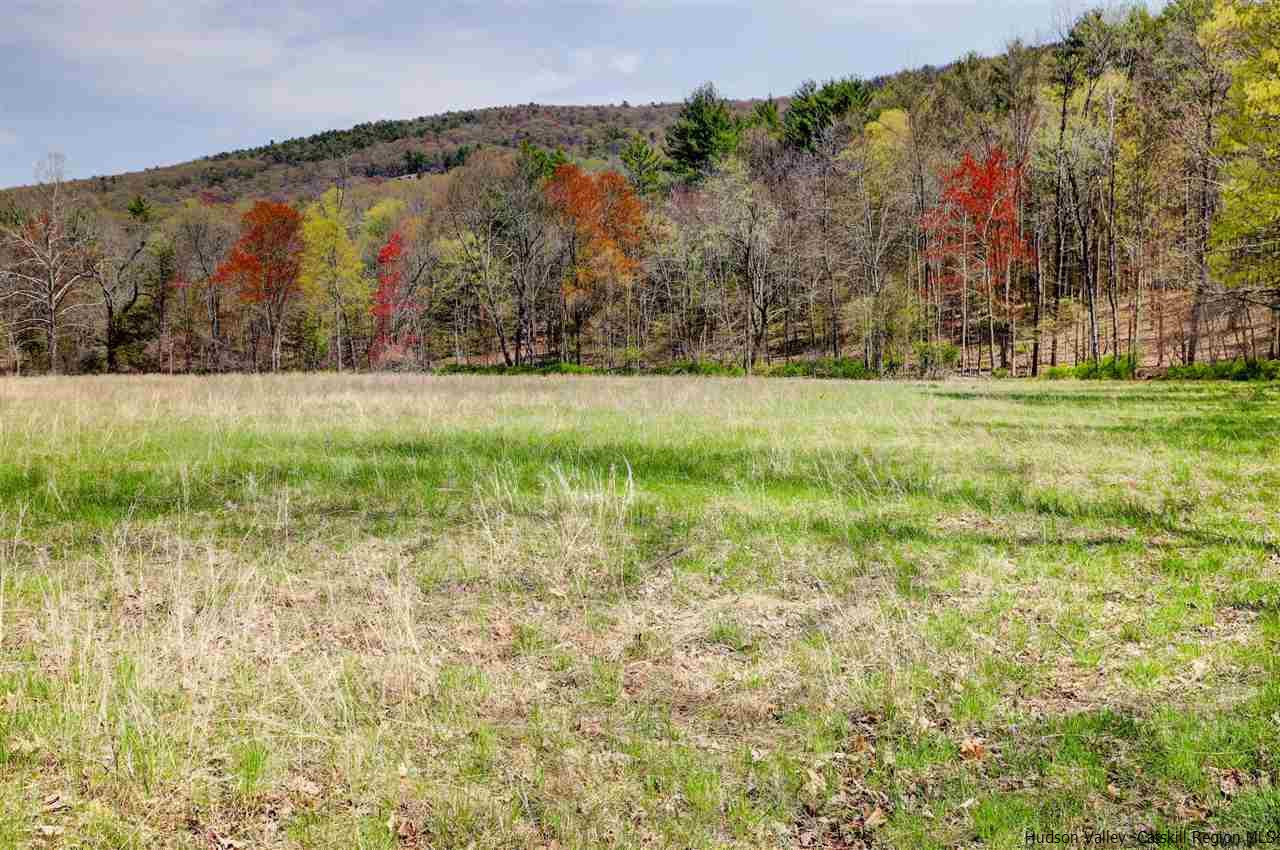 Tbd Clove Valley Road High Falls, NY 12440 - Photo 16 of 26 Photo 16