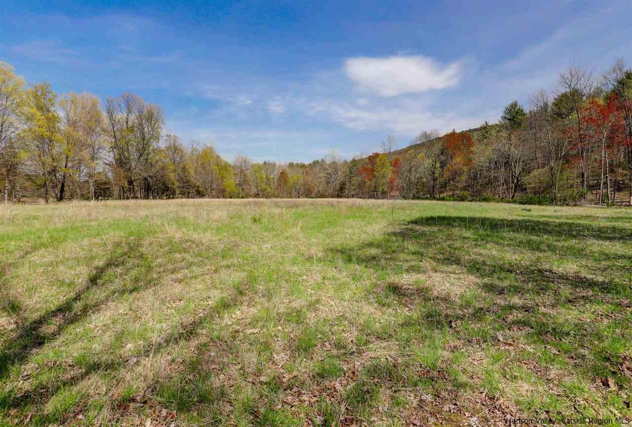 Tbd Clove Valley Road High Falls, NY 12440 - Photo 17 of 26 Photo 17