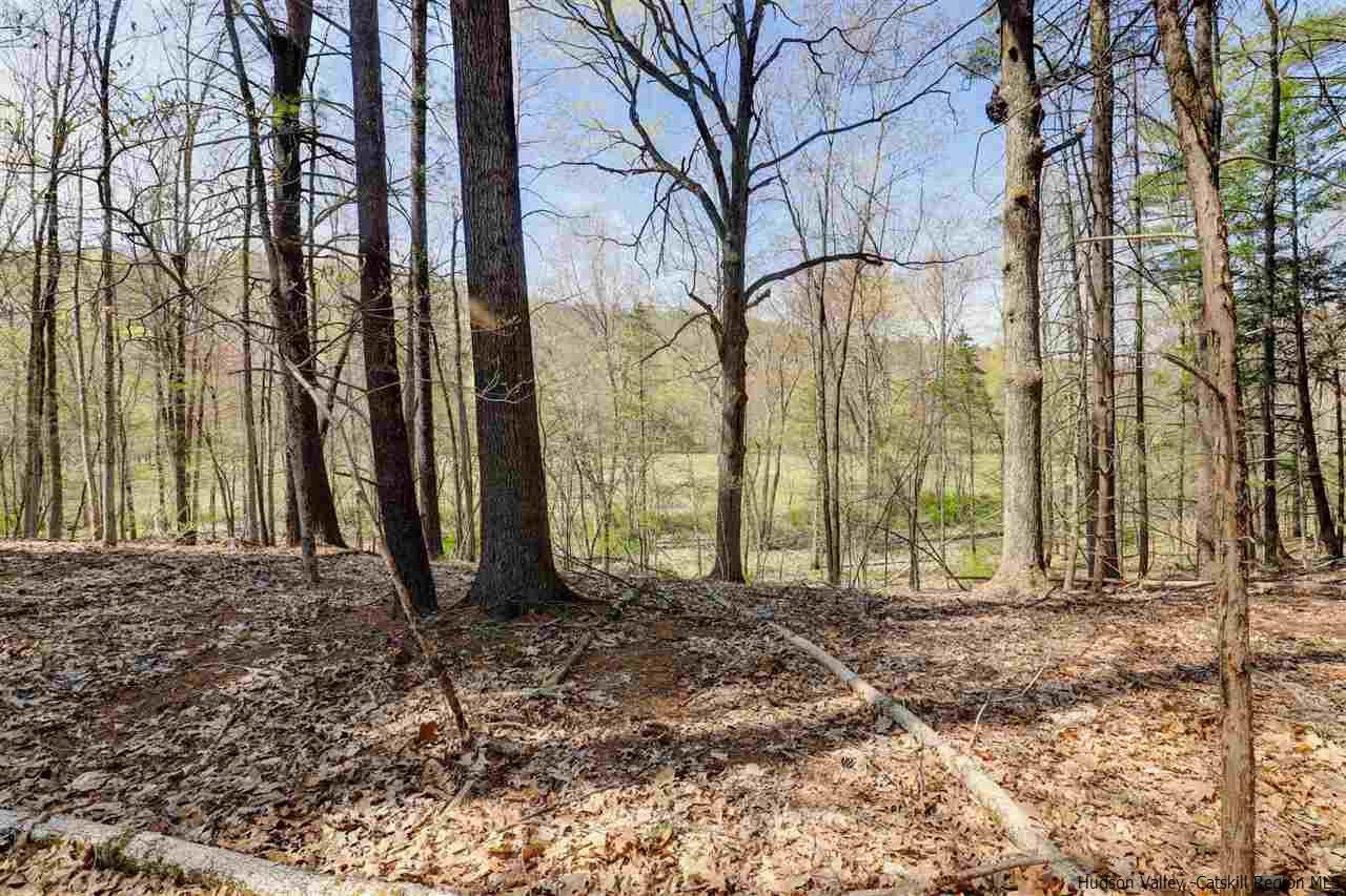 Tbd Clove Valley Road High Falls, NY 12440 - Photo 21 of 26 Photo 21