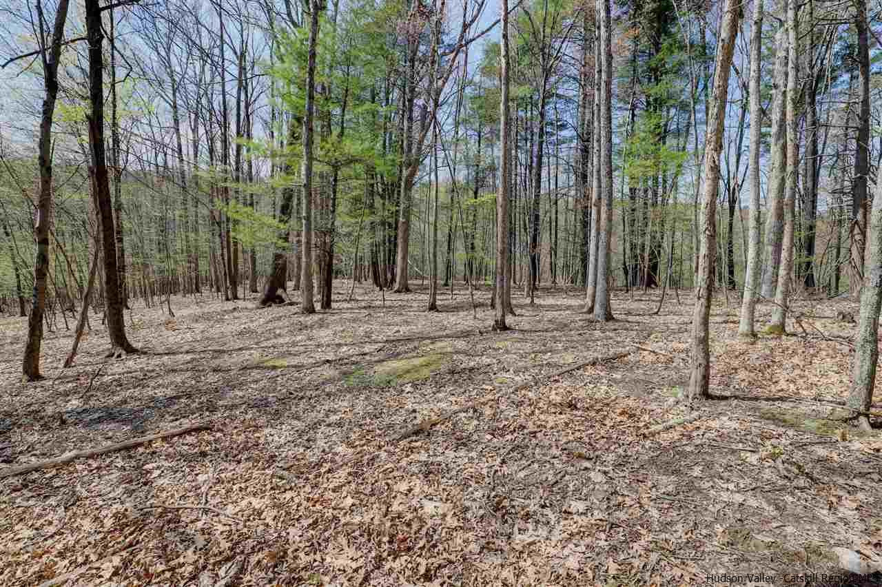 Tbd Clove Valley Road High Falls, NY 12440 - Photo 22 of 26 Photo 22