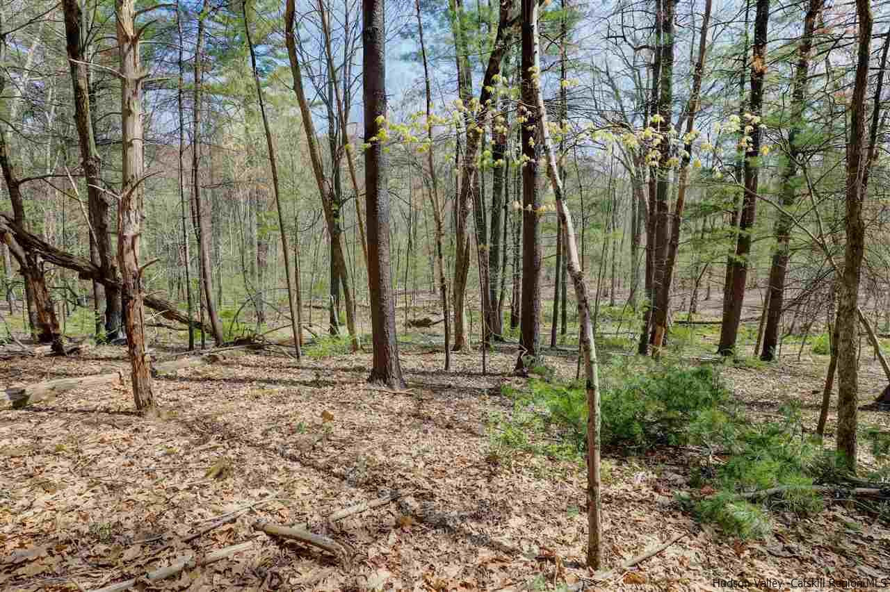 Tbd Clove Valley Road High Falls, NY 12440 - Photo 23 of 26 Photo 23