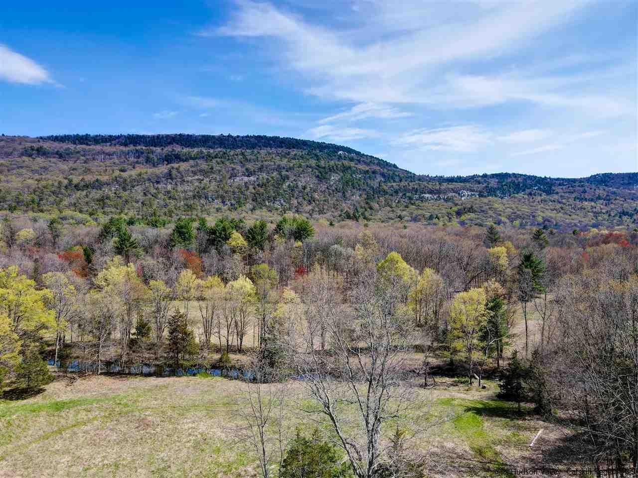 Tbd Clove Valley Road High Falls, NY 12440 - Photo 3 of 26 Photo 3