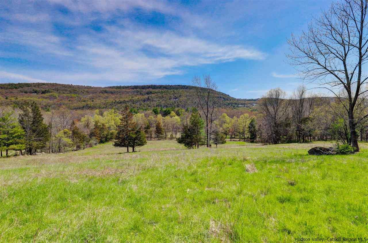 Tbd Clove Valley Road High Falls, NY 12440 - Photo 6 of 26 Photo 6