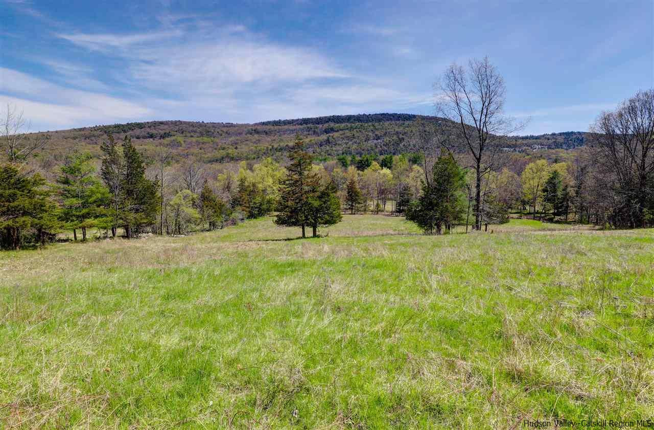 Tbd Clove Valley Road High Falls, NY 12440 - Photo 7 of 26 Photo 7