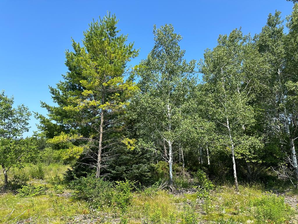 Lot #2 Wandering Down Road Fish Creek, WI 54212 - Photo 1 of 4