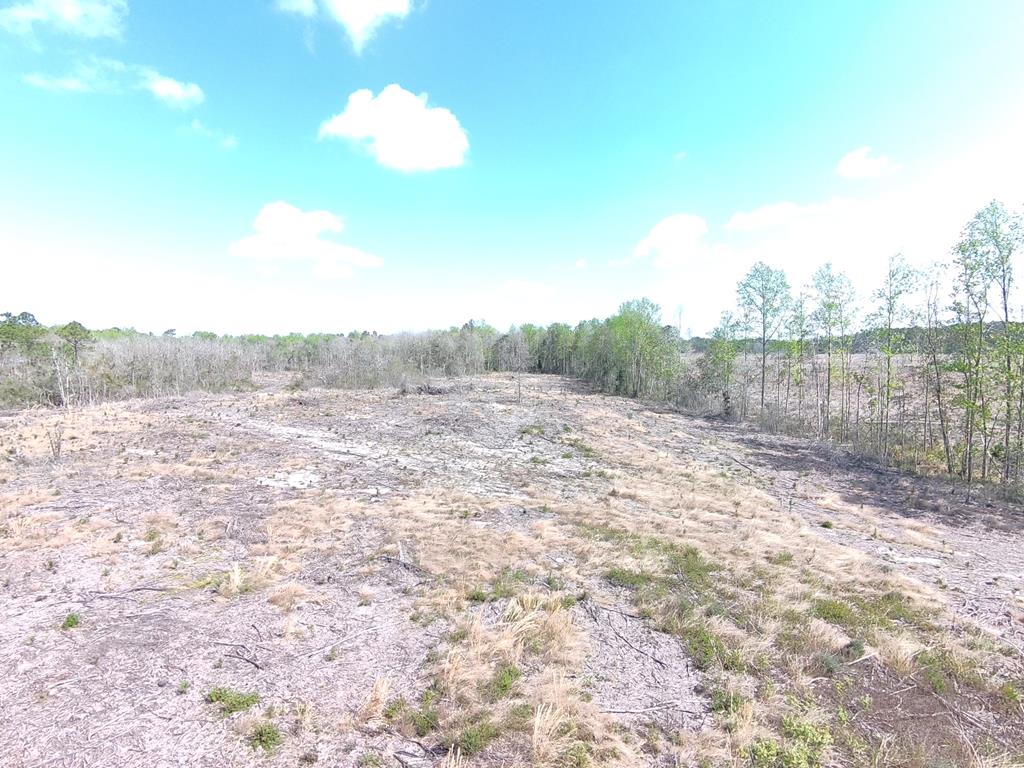 87 Highway 87 Samson, AL 36477 - Photo 24 of 47
