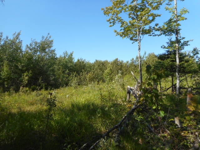 0 Gager Road Curtis, MI 49820 - Photo 25 of 41 Gallery Image 25