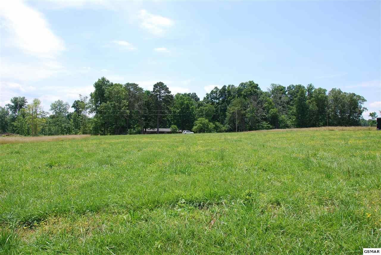 318 Chilhowee Academy Road Seymour, TN 37865 - Photo 5 of 19 Gallery Image 5
