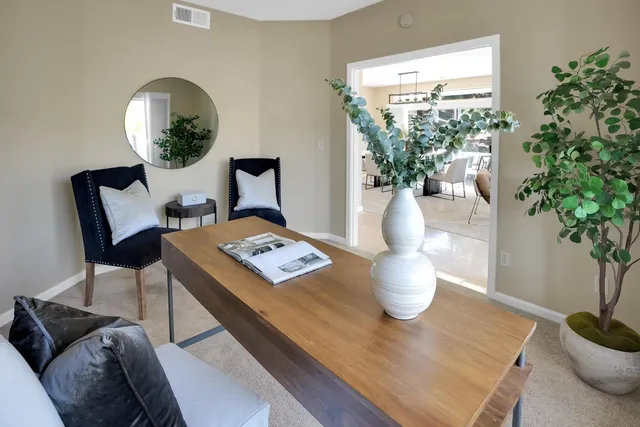 a living room with furniture and a potted plant