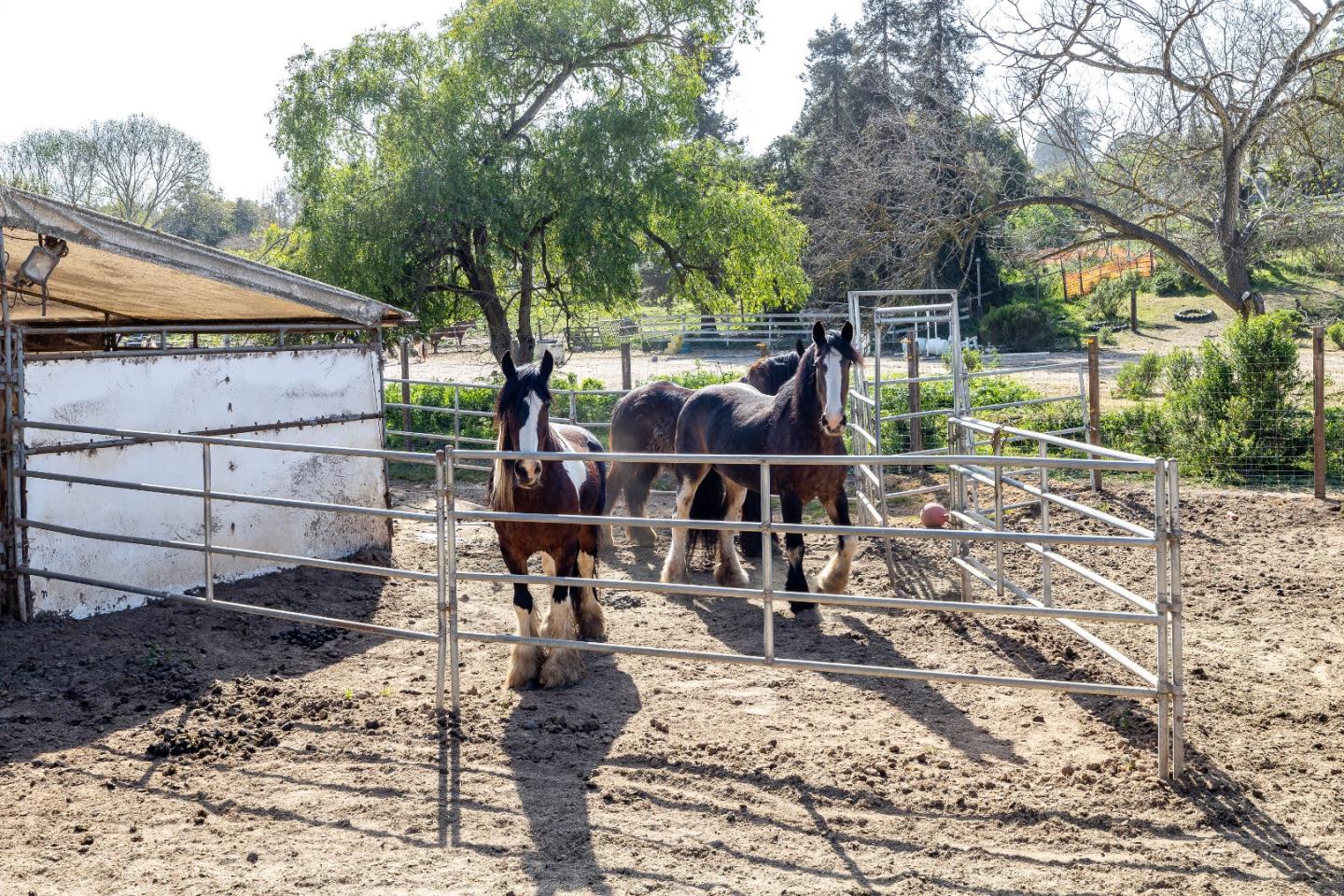 18062 Pesante Road Salinas, CA 93907 - Photo 26 of 44 Gallery Image 26