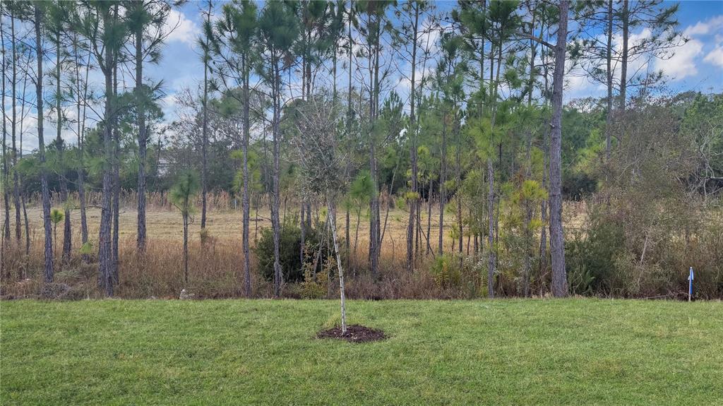 7520 Bent Tree Loop St. Cloud, FL 34773 - Photo 14 of 27
