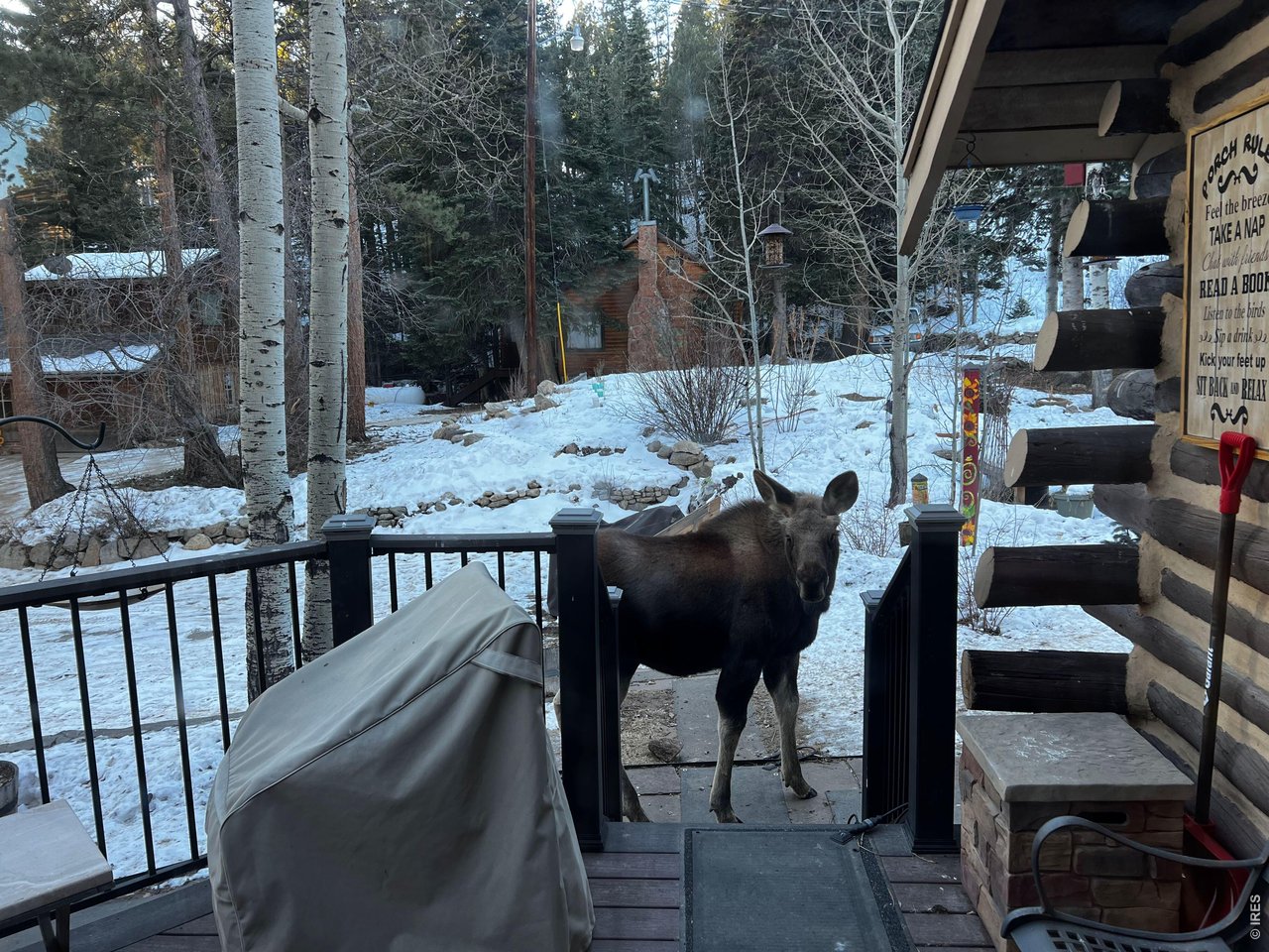 124 Ski Road Allenspark, CO 80510 - Photo 29 of 29 a view of a chairs and table in the balcony