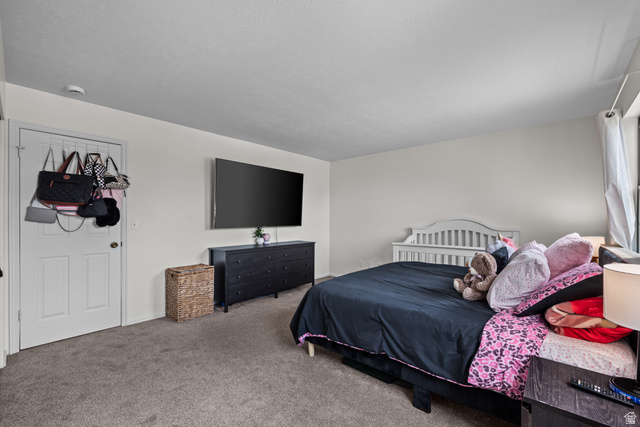 319 Lisa Way Tooele, UT 84074 - Photo 16 of 41