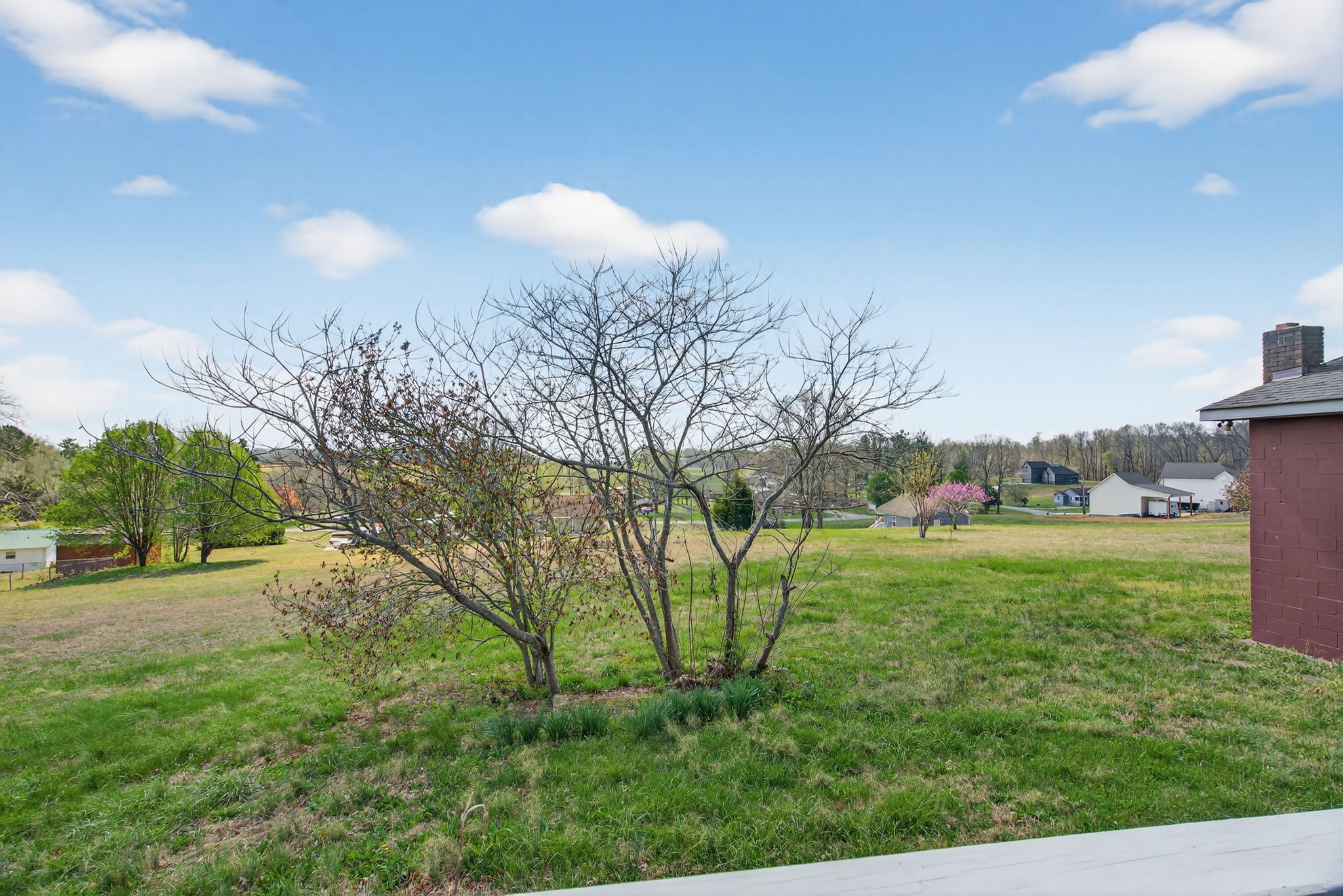 1848 Cardinal Drive Pleasant View, TN 37146 - Photo 38 of 41