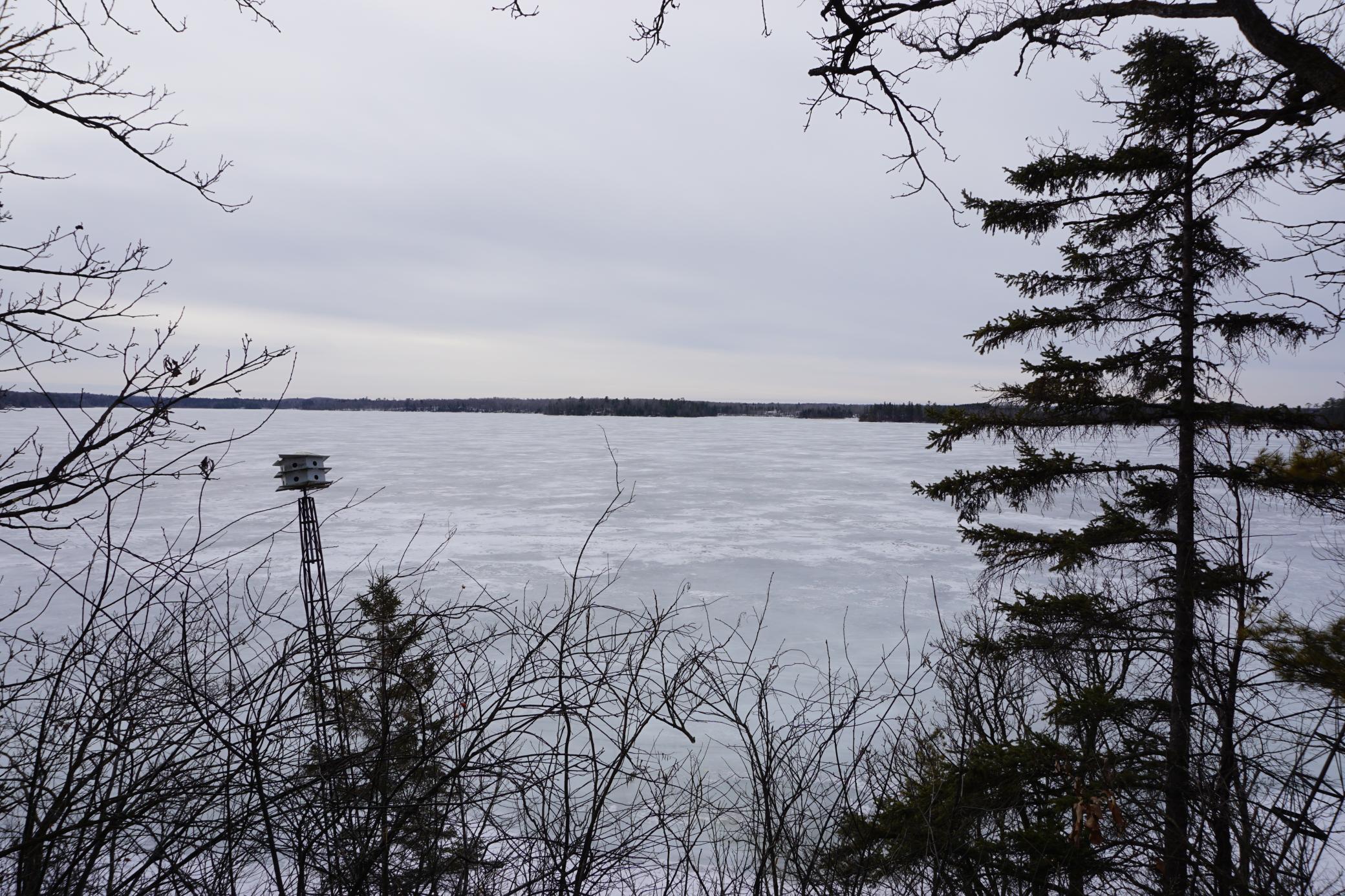 51183 Timberwolf Trail Leonard, MN 56652 - Photo 25 of 35