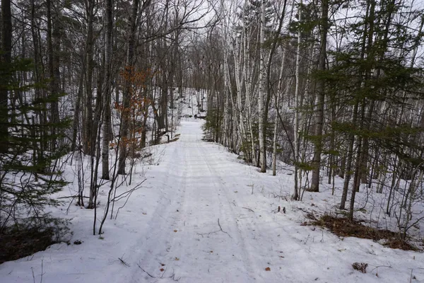 $329,000 | 51183 Timberwolf Trail, Leonard, MN 56652